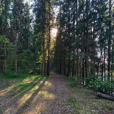 Ozolu Gatve 2- No Cesim 7 Km Apartment Jānamuiža Bagian luar foto