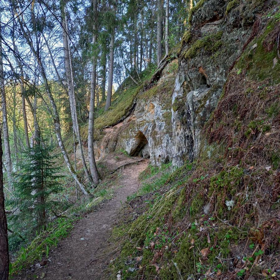 Ozolu Gatve 2- No Cesim 7 Km Apartment Jānamuiža Bagian luar foto